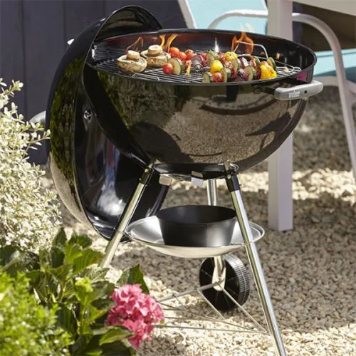 Big Green Egg vs Weber