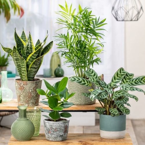 Top 5 astuces décoration